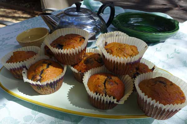Coconut Flour Blueberry Muffins – gluten, dairy & sugar free!