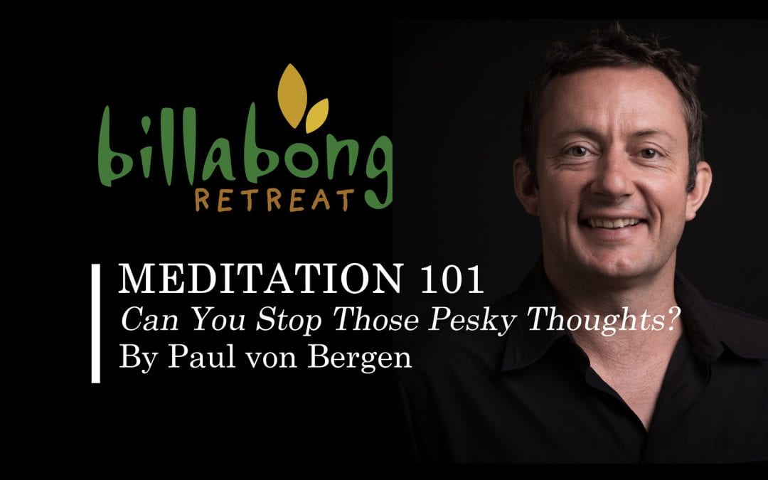 Meditation 101: Can You Stop Those Pesky Thoughts by Paul von Bergen?
