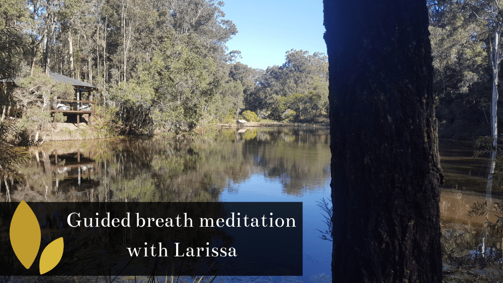 Meditation on breath with Larissa