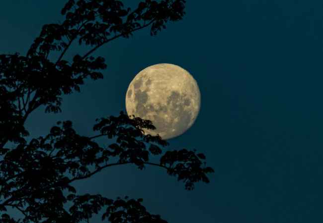 The Moon’s Silent Influence on Easter